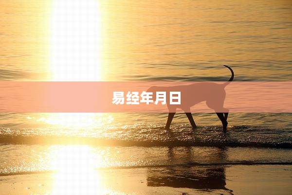 易经年月日