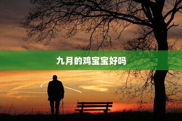 九月的鸡宝宝好吗