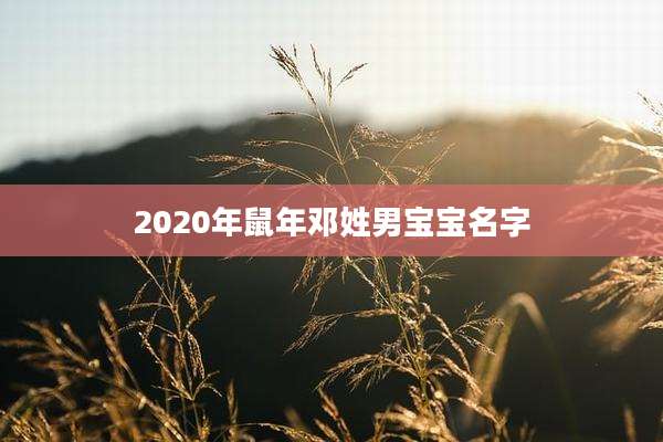 2020年鼠年邓姓男宝宝名字