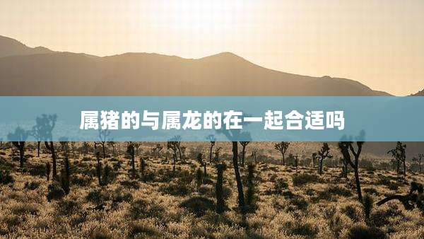 属猪的与属龙的在一起合适吗