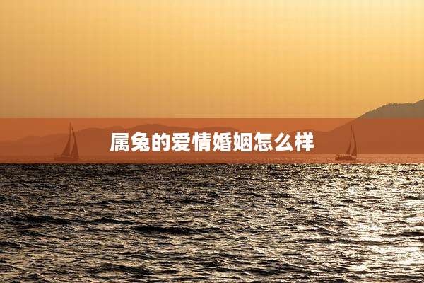 属兔的爱情婚姻怎么样
