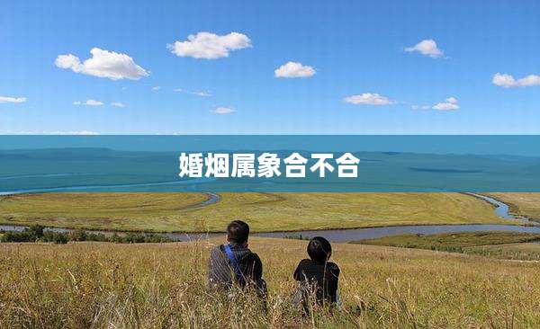 婚烟属象合不合