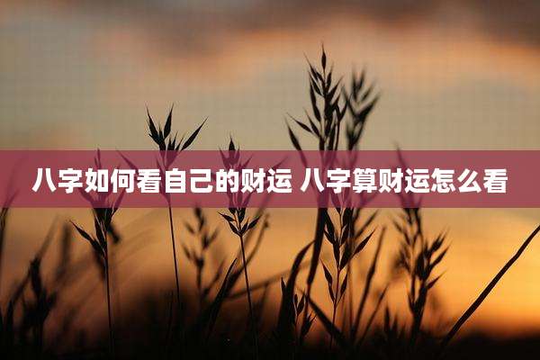 八字如何看自己的财运 八字算财运怎么看