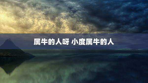 属牛的人呀 小度属牛的人