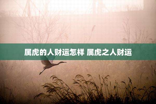 属虎的人财运怎样 属虎之人财运