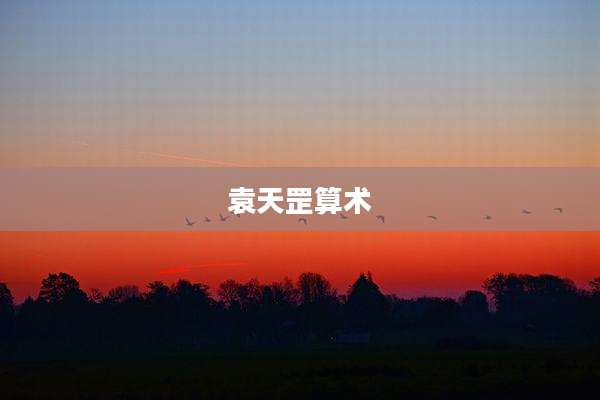 袁天罡算术
