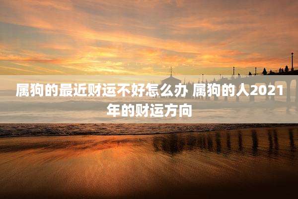 属狗的最近财运不好怎么办 属狗的人2021年的财运方向