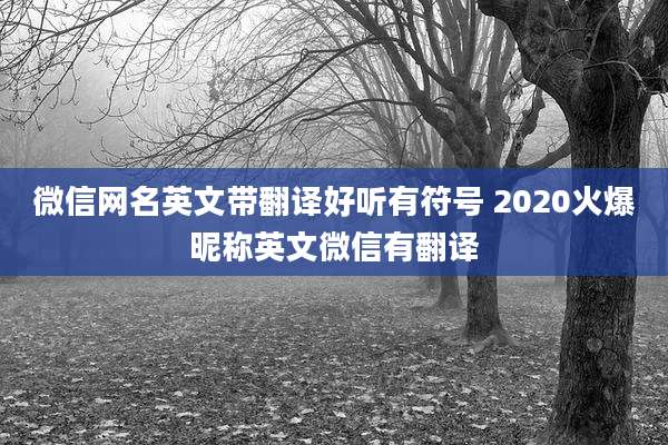 微信网名英文带翻译好听有符号 2020火爆昵称英文微信有翻译