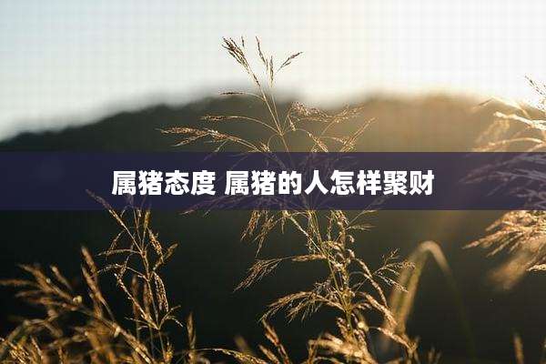 属猪态度 属猪的人怎样聚财