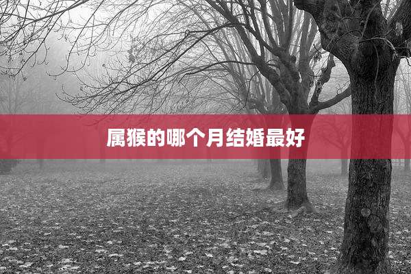 属猴的哪个月结婚最好