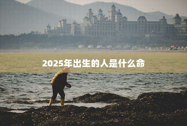 2025年出生的人是什么命