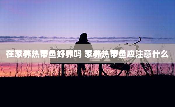 在家养热带鱼好养吗 家养热带鱼应注意什么