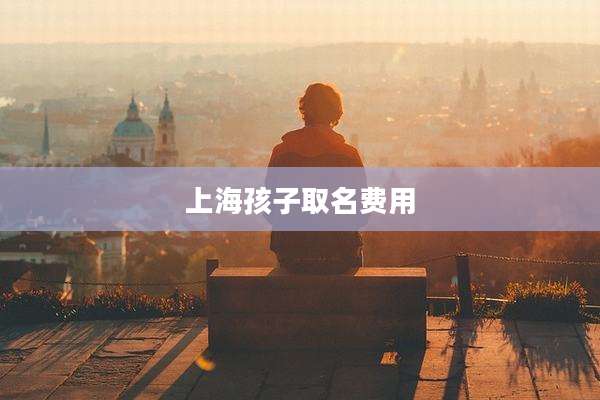 上海孩子取名费用