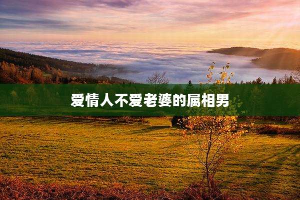 爱情人不爱老婆的属相男