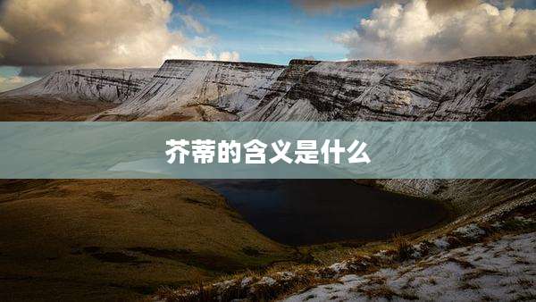 芥蒂的含义是什么