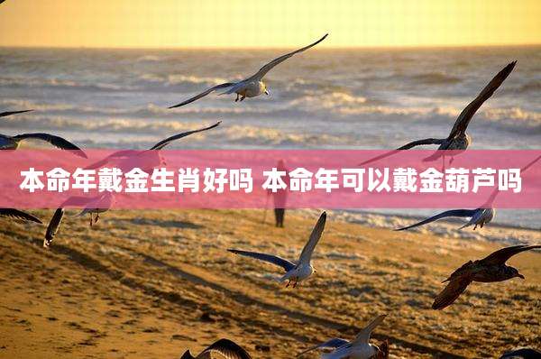 本命年戴金生肖好吗 本命年可以戴金葫芦吗