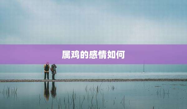 属鸡的感情如何