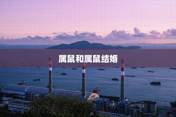 属鼠和属鼠结婚