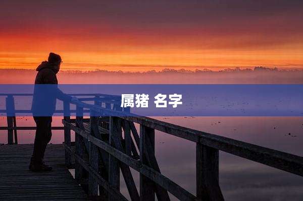 属猪 名字