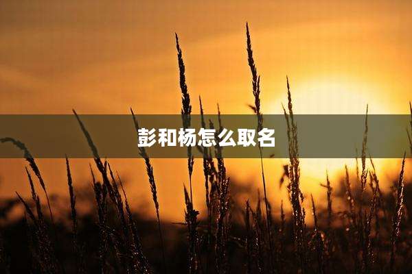 彭和杨怎么取名