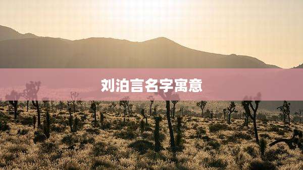 刘泊言名字寓意