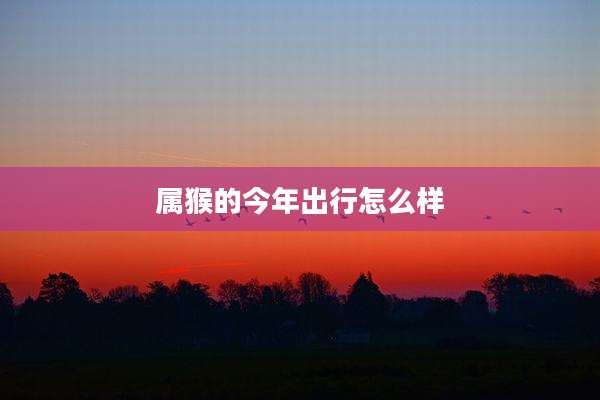 属猴的今年出行怎么样