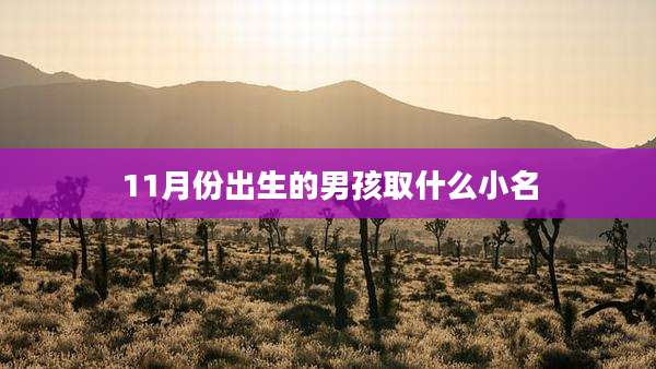 11月份出生的男孩取什么小名