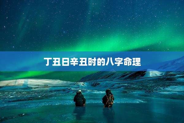 丁丑日辛丑时的八字命理