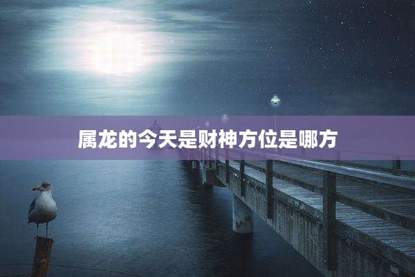 属龙的今天是财神方位是哪方