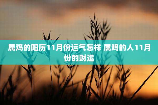 属鸡的阳历11月份运气怎样 属鸡的人11月份的财运