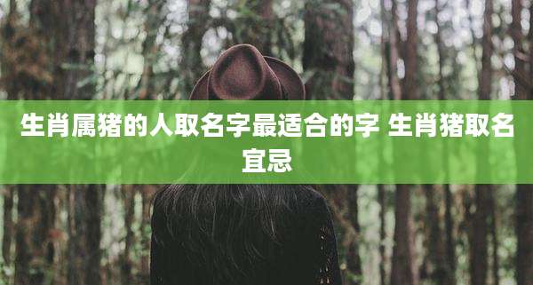生肖属猪的人取名字最适合的字 生肖猪取名宜忌