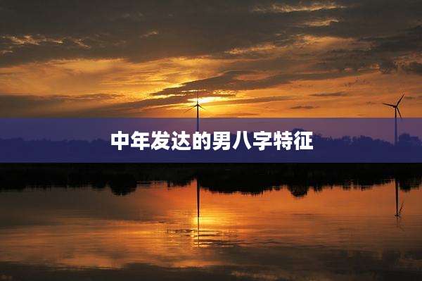 中年发达的男八字特征