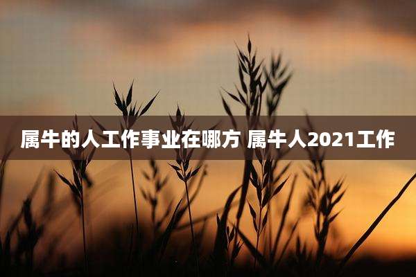 属牛的人工作事业在哪方 属牛人2021工作