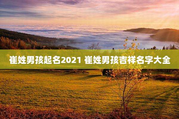 崔姓男孩起名2021 崔姓男孩吉祥名字大全