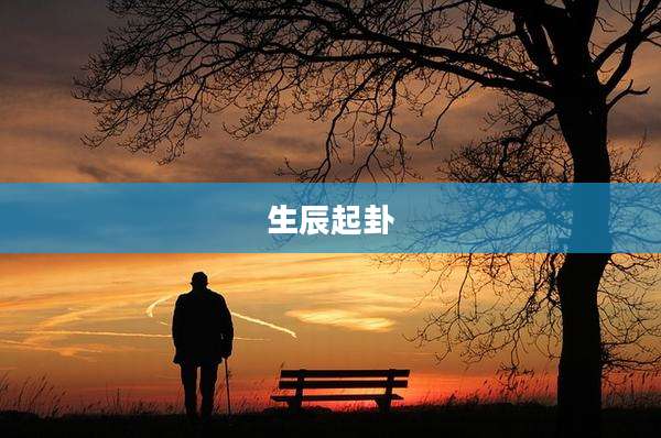 生辰起卦