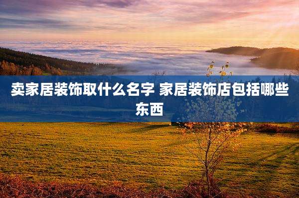 卖家居装饰取什么名字 家居装饰店包括哪些东西