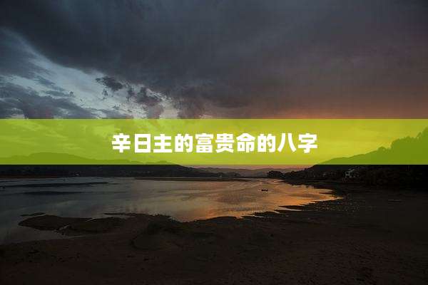 辛日主的富贵命的八字