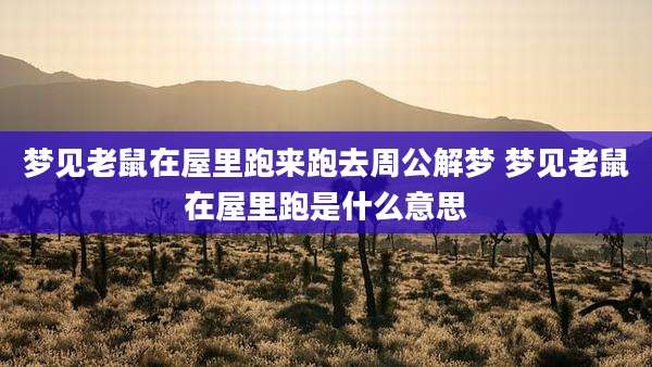 梦见老鼠在屋里跑来跑去周公解梦 梦见老鼠在屋里跑是什么意思