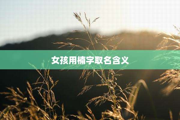 女孩用楠字取名含义