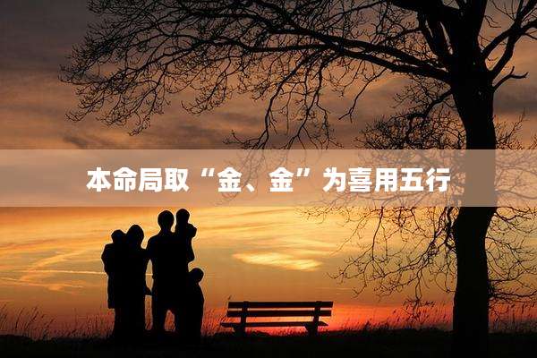本命局取“金、金”为喜用五行