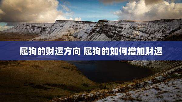 属狗的财运方向 属狗的如何增加财运