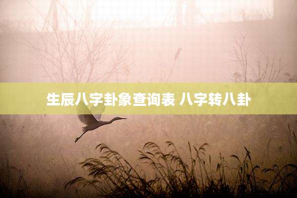 生辰八字卦象查询表 八字转八卦