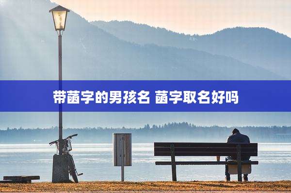 带菡字的男孩名 菡字取名好吗