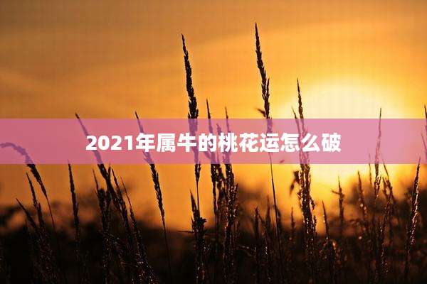 2021年属牛的桃花运怎么破