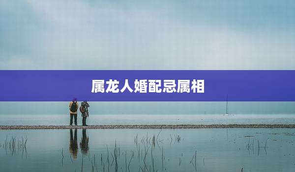 属龙人婚配忌属相