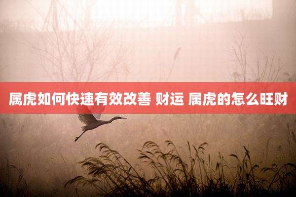 属虎如何快速有效改善 财运 属虎的怎么旺财