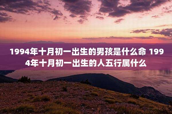 1994年十月初一出生的男孩是什么命 1994年十月初一出生的人五行属什么