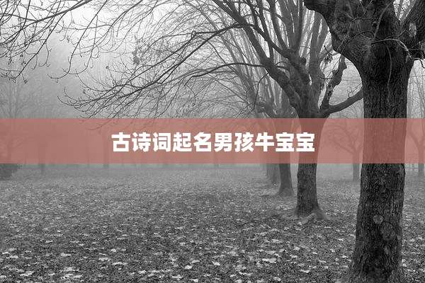 古诗词起名男孩牛宝宝