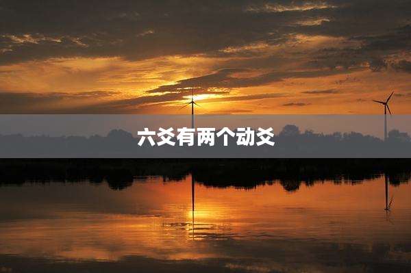 六爻有两个动爻