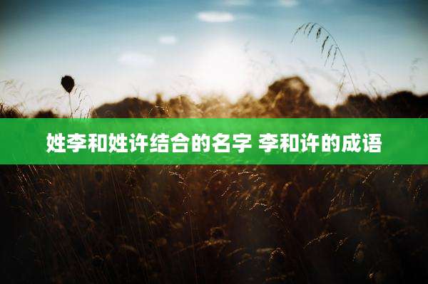 姓李和姓许结合的名字 李和许的成语
